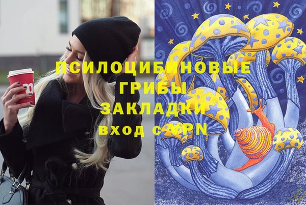 ECSTASY Белоозёрский