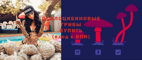 наркотики Белокуриха