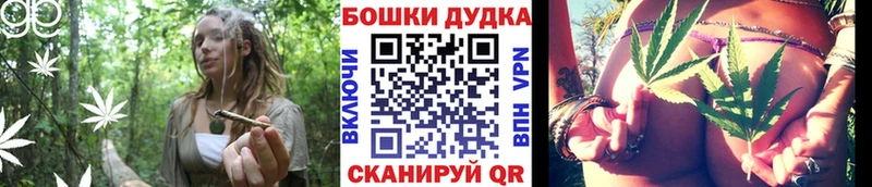 kraken зеркало  Жирновск  Каннабис Bruce Banner 